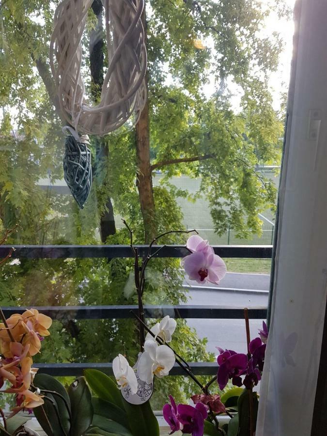 Studio Apartman Zagreb Zapad Vrapce Kültér fotó